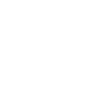 XpertBrows